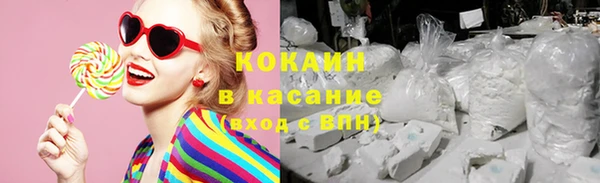 дурь Няндома