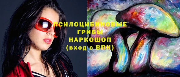 молекула духа Новодвинск