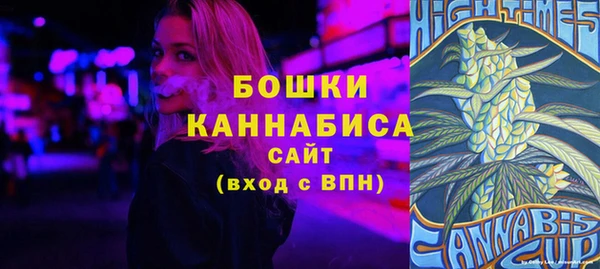 дурь Няндома
